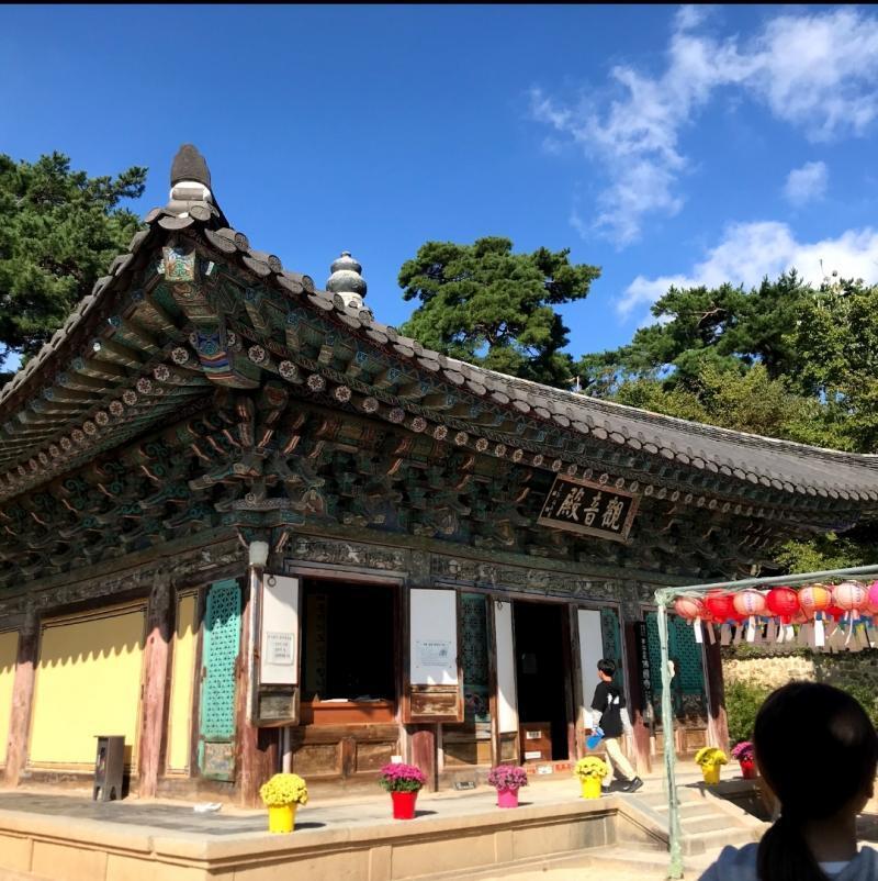 아니 사진이 되게 많은데 안 올라가져... 쪼끔만 올릴게 사진 경주에서 찍은거양