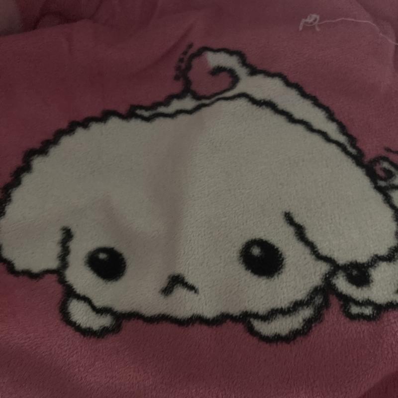 얘 이름 뭐임??