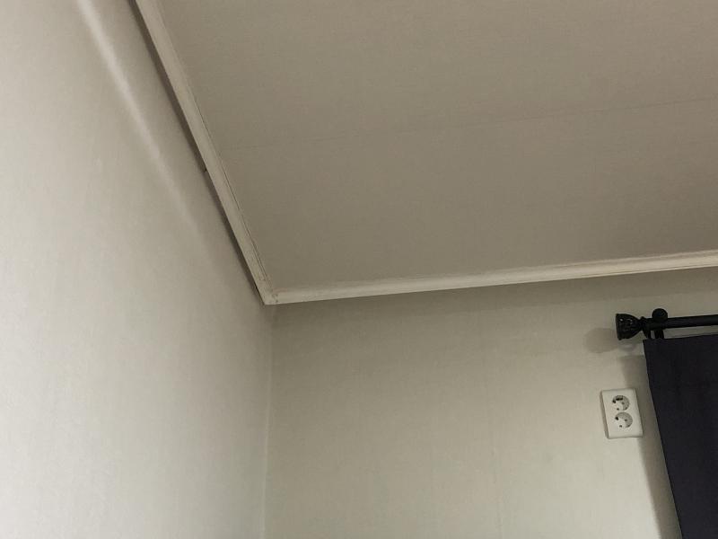 여기 두곳 봐줄 수 있어? 내방인데