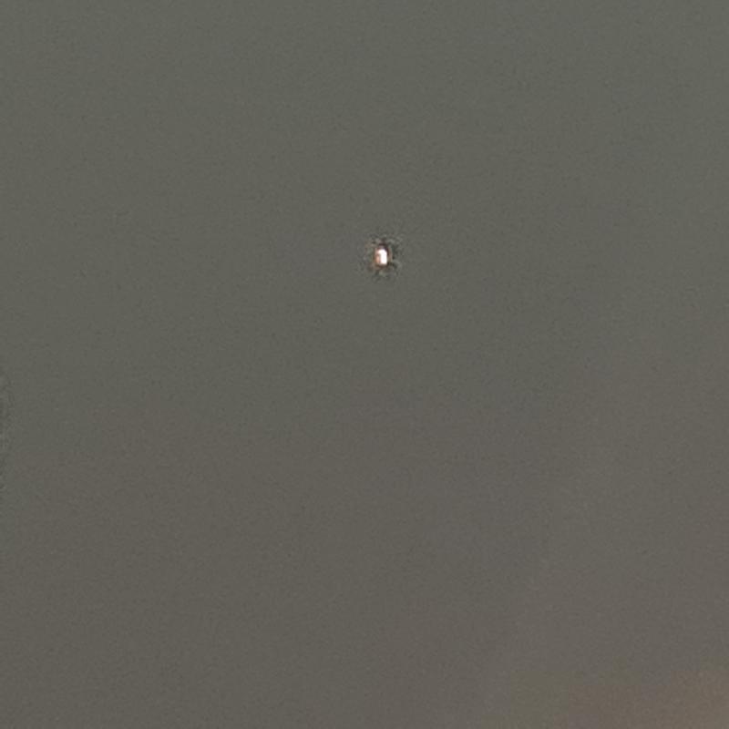 방금 찍은 주황별.