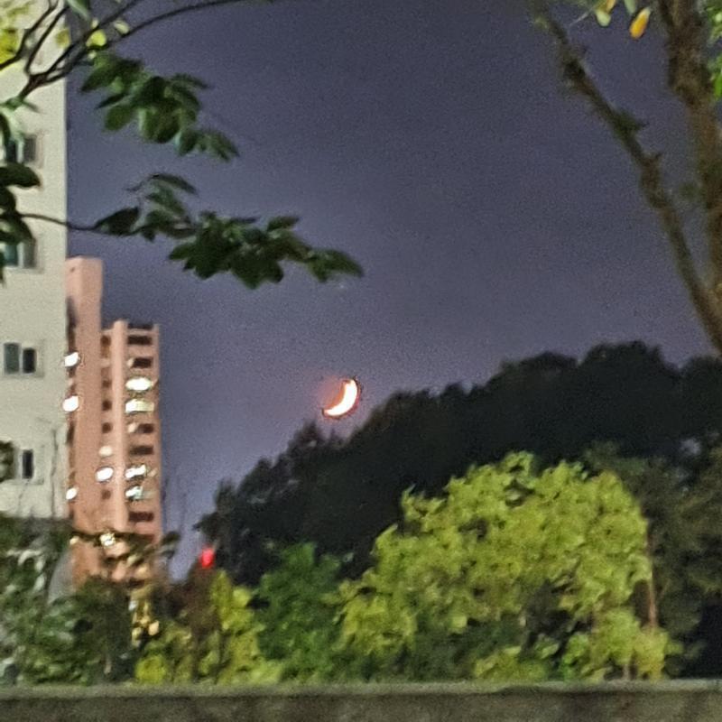 아니 진짜 운동하러 ㅇ나왔다가 깜짝 놀랐어