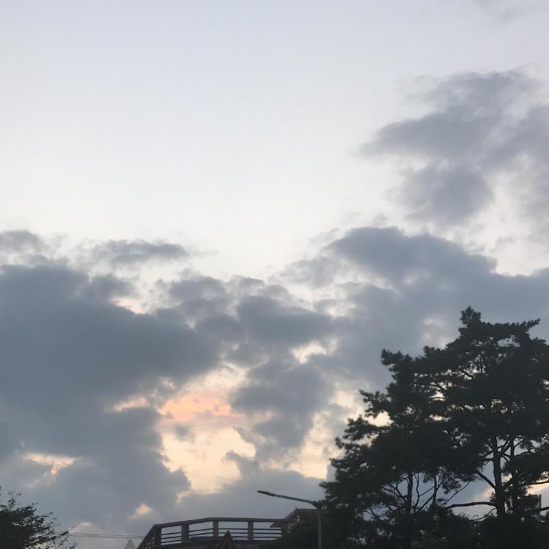 안녕 래주 간편하게 말할게! 내가 지금 처한 상황을 버티면 나중에 행복하기만 할 수 있을까? 숫자는 3,7,10,14,20,22