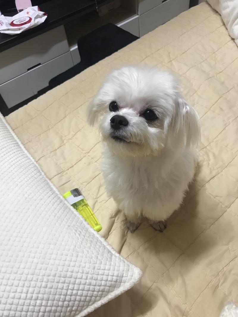 6개월 가까이 사귀다 헤어진 사람이 있는데 다시 재결합이 가능할까? 그사람이 헤어지자했고 헤어진지는 3개월정도됐어 헤어지기 3일전에 만나려고 하