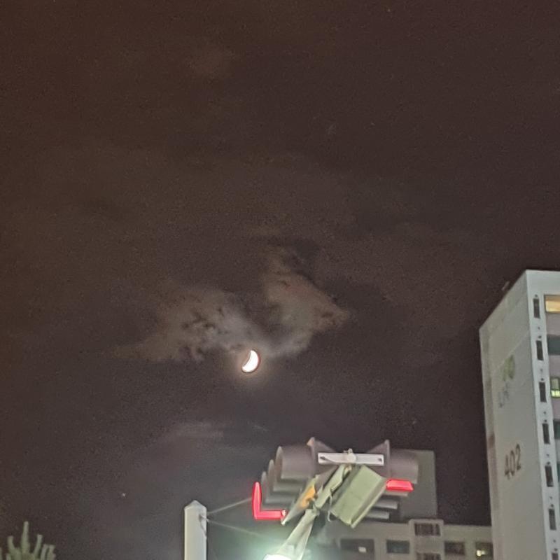 짜잔