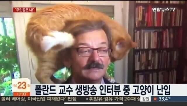 ㅗ 고백 받은 순간 평소의 냉정침착했던 모습은 온데간데 없이 되게 당황할 것 같아 이런저런 고생은 다 겪어본 내 최애지만 연애 경험은 전무라 그