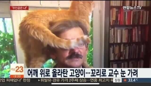 ㅗ 고백 받은 순간 평소의 냉정침착했던 모습은 온데간데 없이 되게 당황할 것 같아 이런저런 고생은 다 겪어본 내 최애지만 연애 경험은 전무라 그