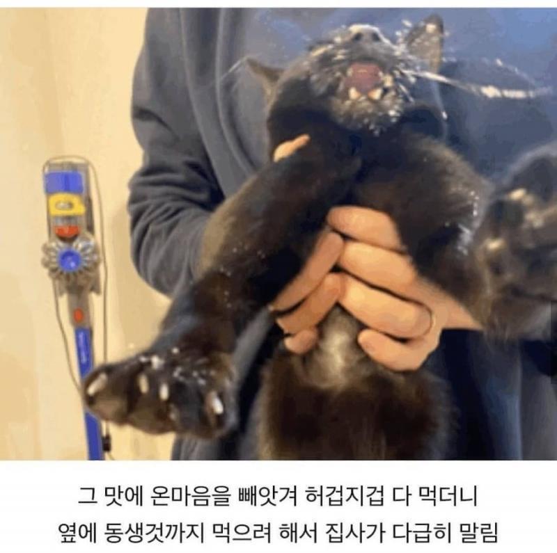 심쿵ㄷ