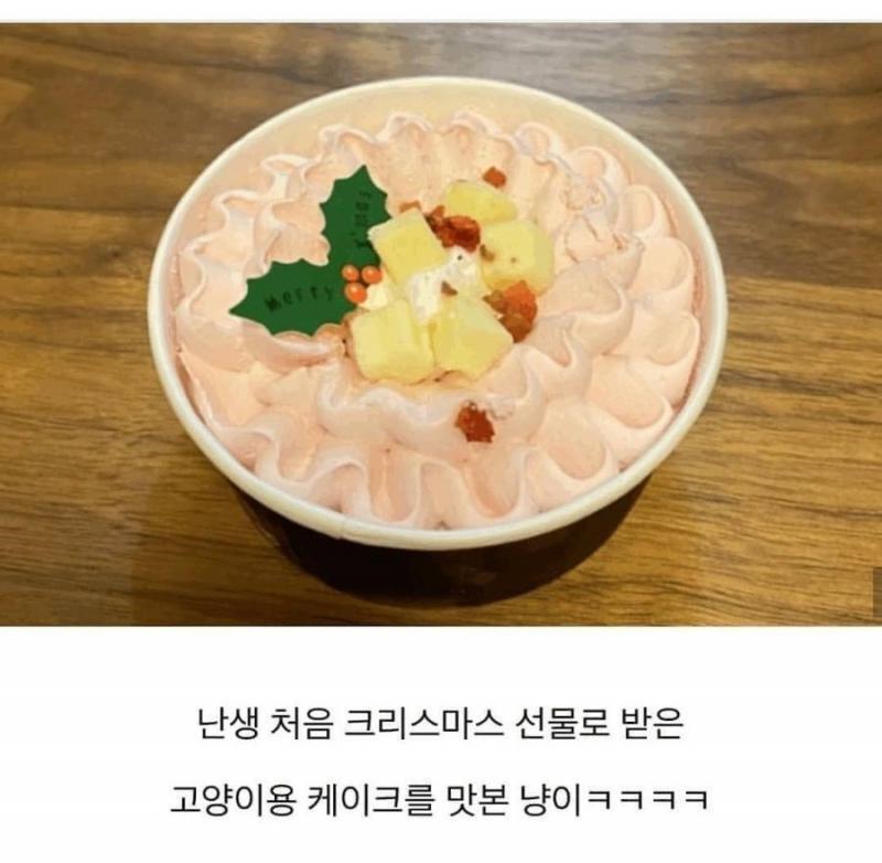 심쿵ㄷ
