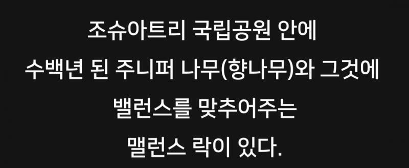 이런 글 봤다..주니퍼 나무로 해야하나...향나무...?