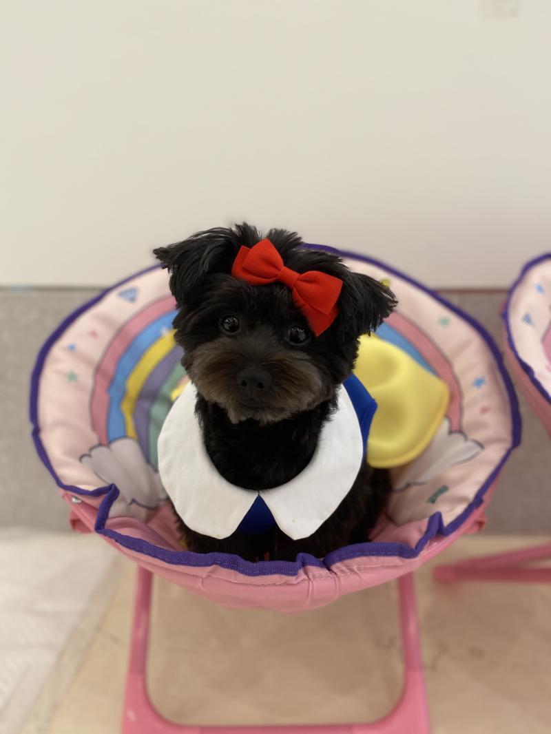 여기 !! 인스타그램도 하고 있어 ! b_b_eve !!