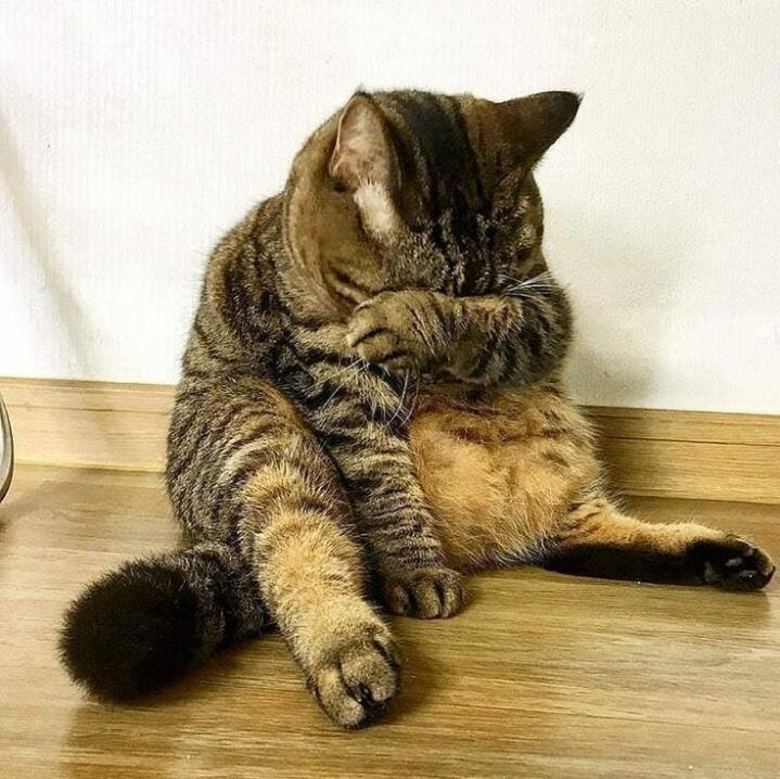진짜 나븐새기 일부러 그랬잖아요 공부가아니라 쌤때문에ㅠ힘이 든다고요
