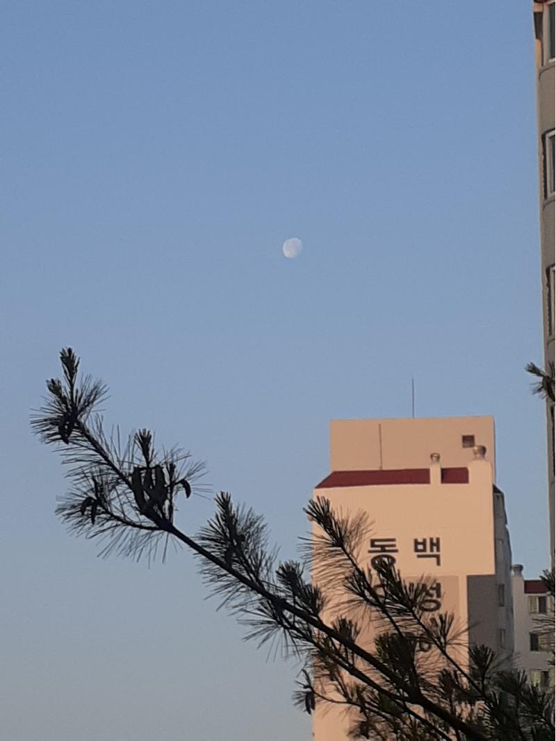 올해2월에 내 말한마디로 상대가 헤어지자고 했어 그동안 쌓인 불만이 입밖으로 나왔는데 그게 폭탄이였거든 나는 친구를 짝사랑 했어 그런데 짝사랑을