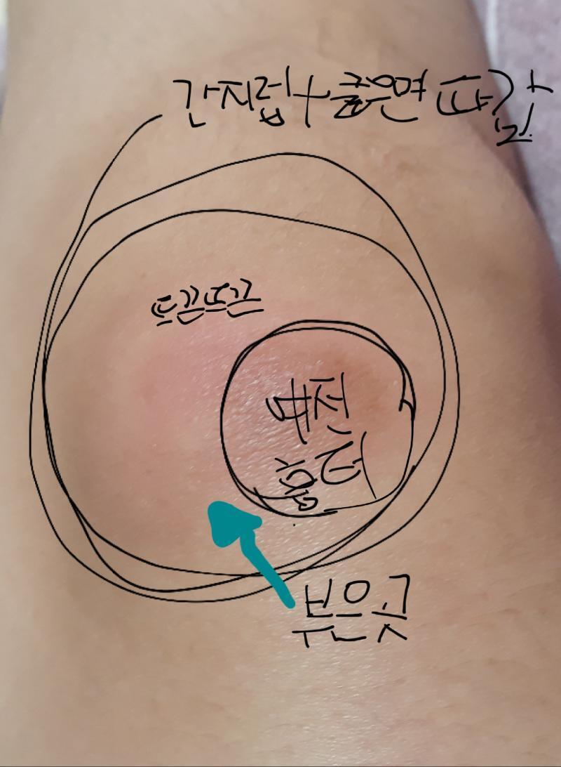 이게 뭘까..