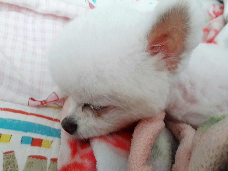 우리 이뿌니
