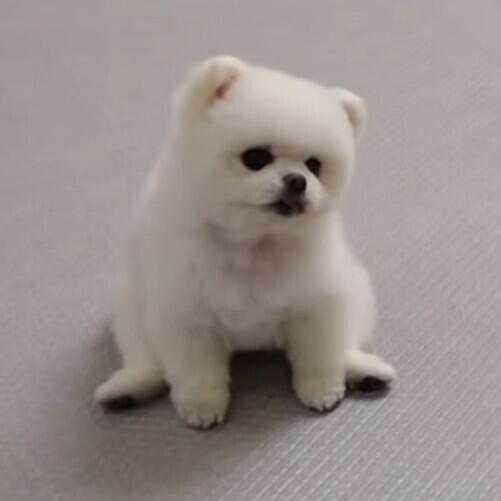 괴담보고나서 이짤 보니까 괜찮더라