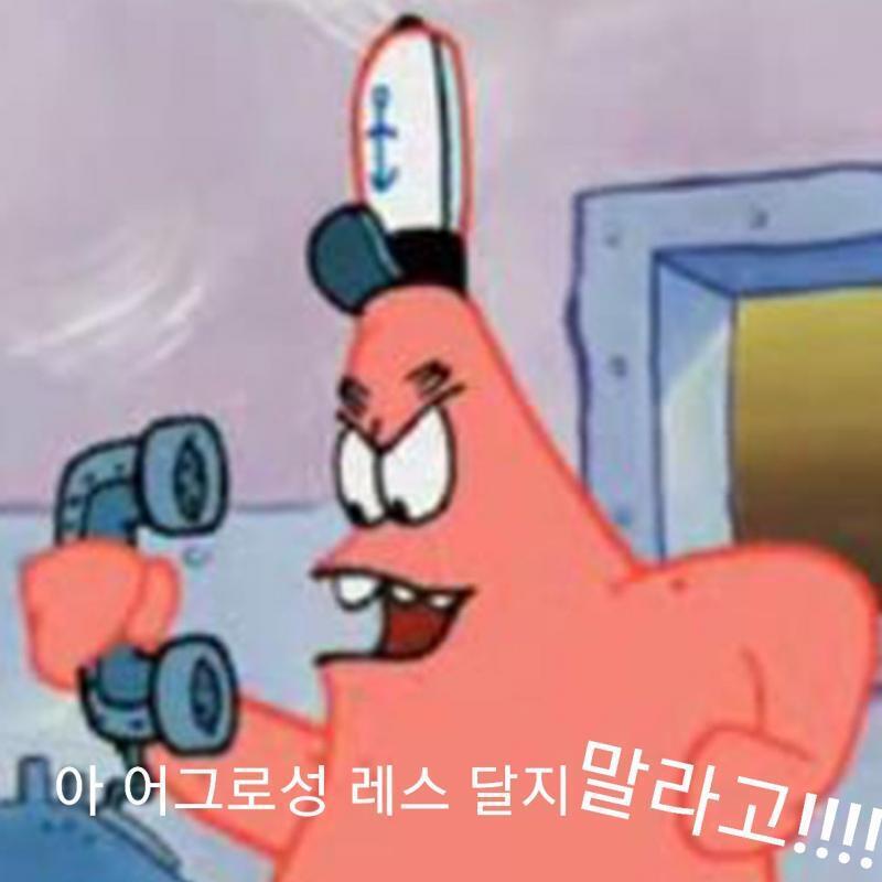 어그로성 특집 짤들 (Feat. 뚱이)