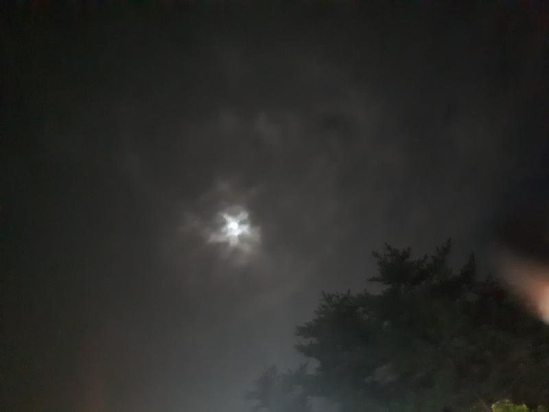 그나마 구름 걷혔을 때 잠깐 찍어봤어. 휴대폰으로 찍은 거라 예쁘게 보이진 않지만, 이 스레에 들렀다 가는 레더들이 이렇게나마 한 번 달을 봐줬