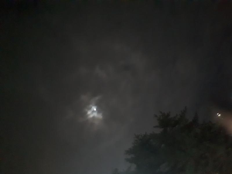 그나마 구름 걷혔을 때 잠깐 찍어봤어. 휴대폰으로 찍은 거라 예쁘게 보이진 않지만, 이 스레에 들렀다 가는 레더들이 이렇게나마 한 번 달을 봐줬