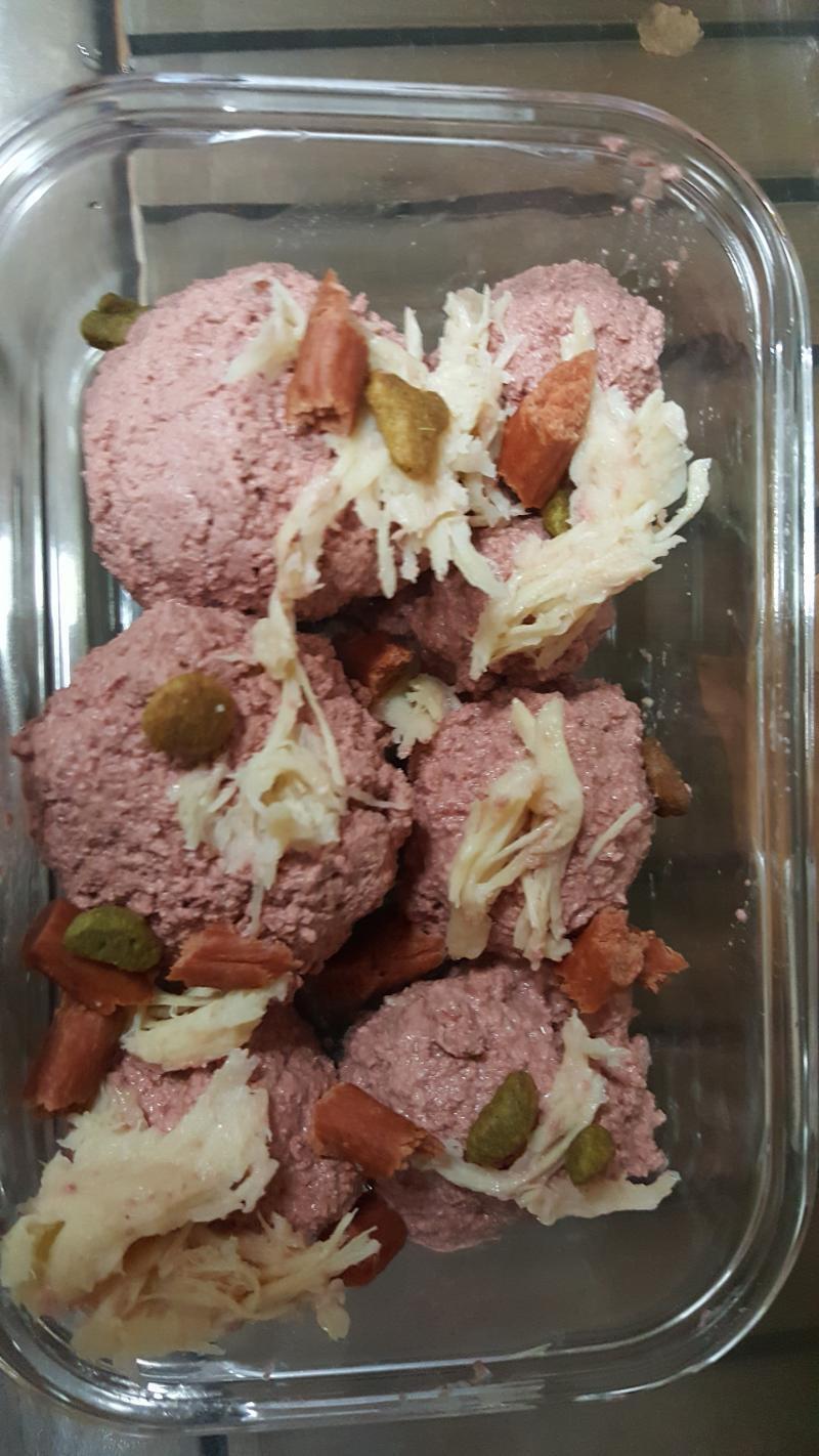 난 길냥이 먹였어 ㅎㅎ