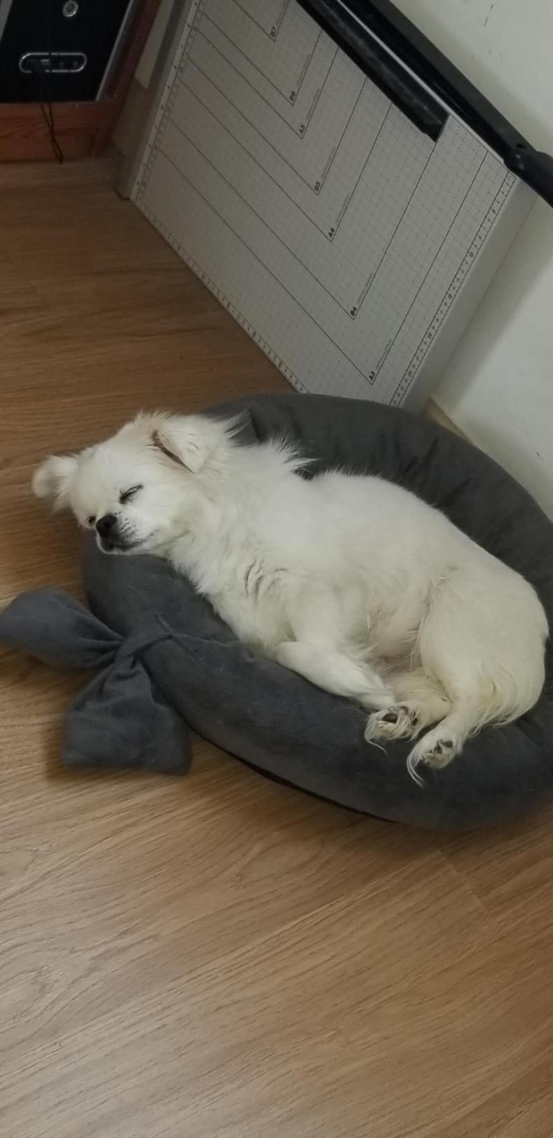 지금 본가가 아니라 사진이 적은데, 필요하면 더 올릴게