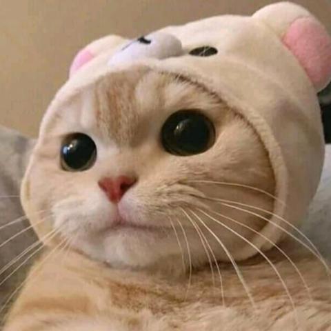계속