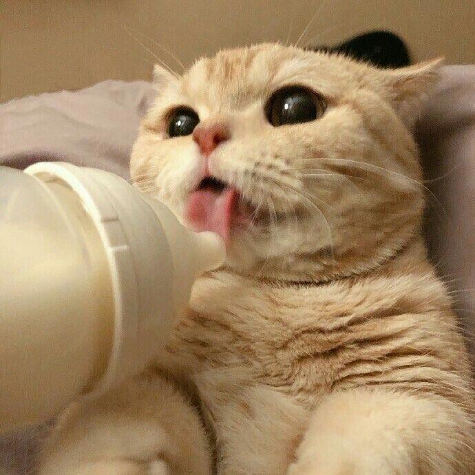 더