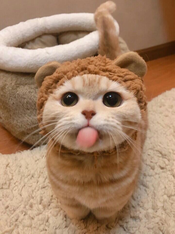 아직