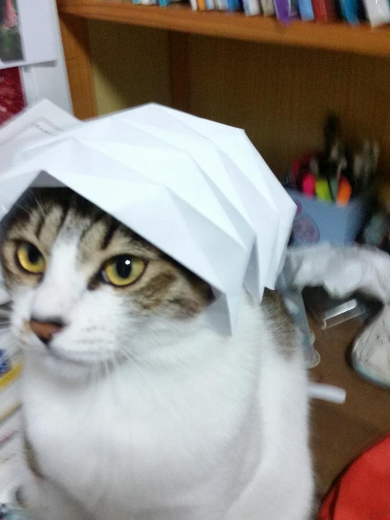 울집괭...... ㅋㅋ