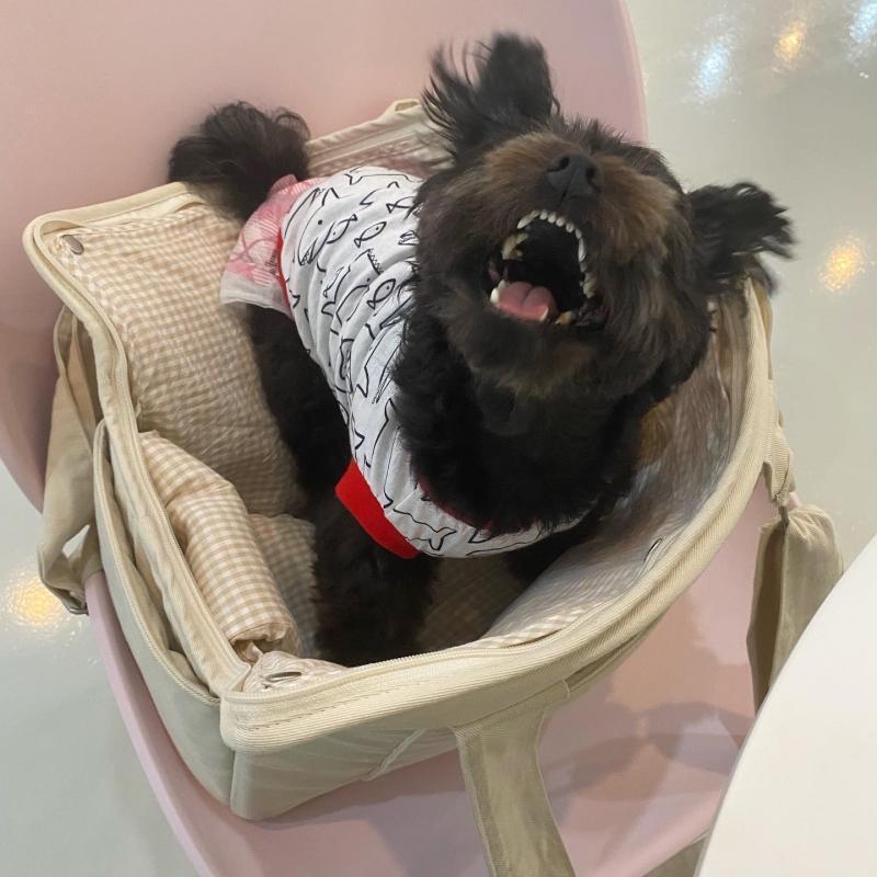 >>3 고마워어억!!!!