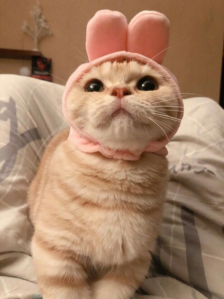 계속