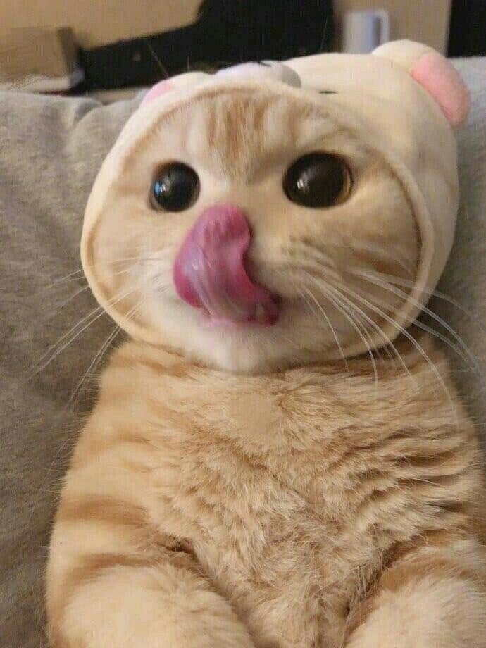 더