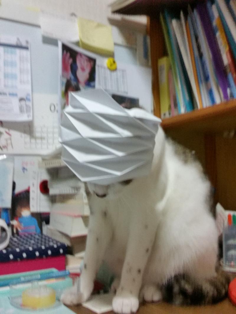울집괭...... ㅋㅋ