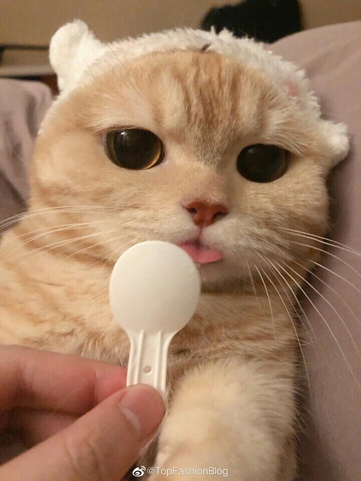 끝