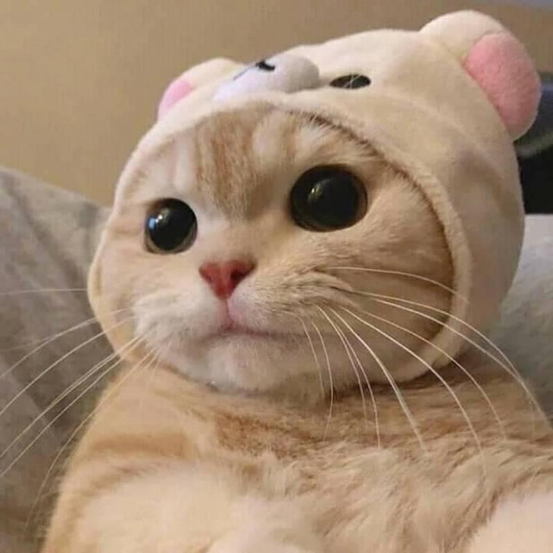 요거