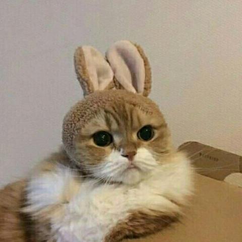 아직