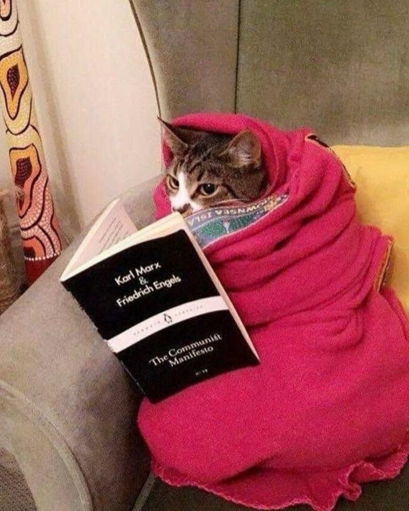 기야워..