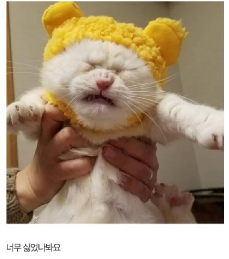 기야워..
