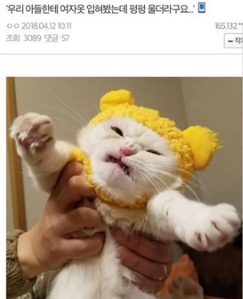 기야워..