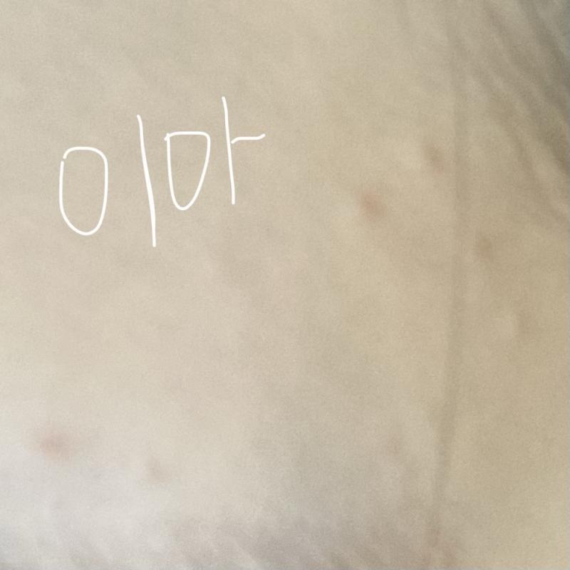 사진이야