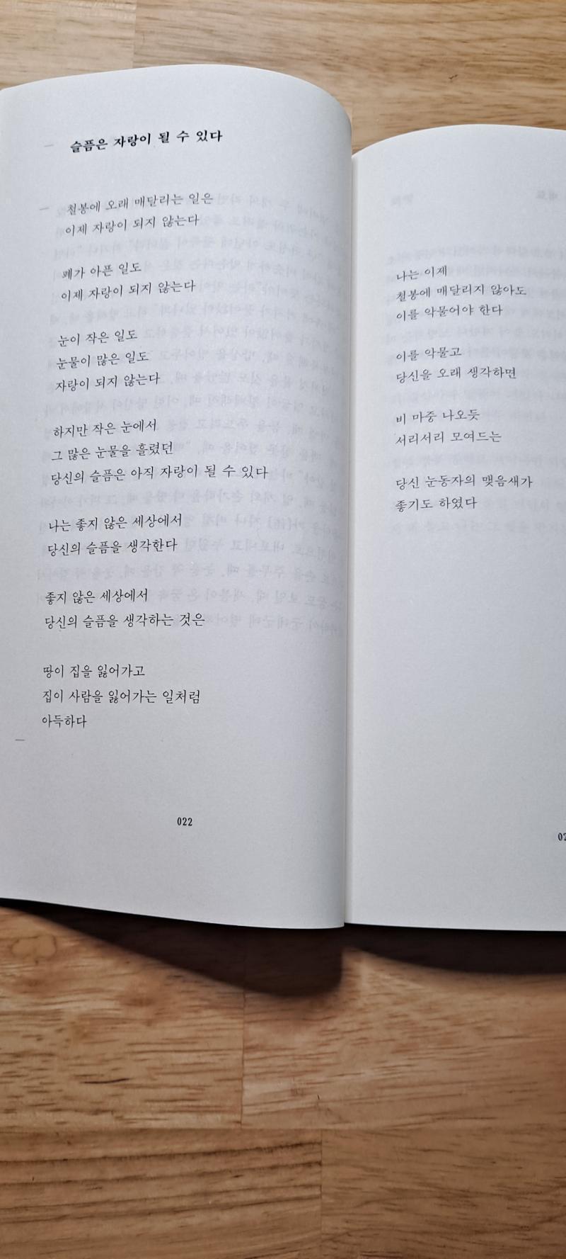 박준_슬픔은 자랑이 될 수 있다