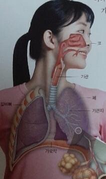 귀엽지?