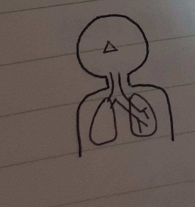 귀엽지?