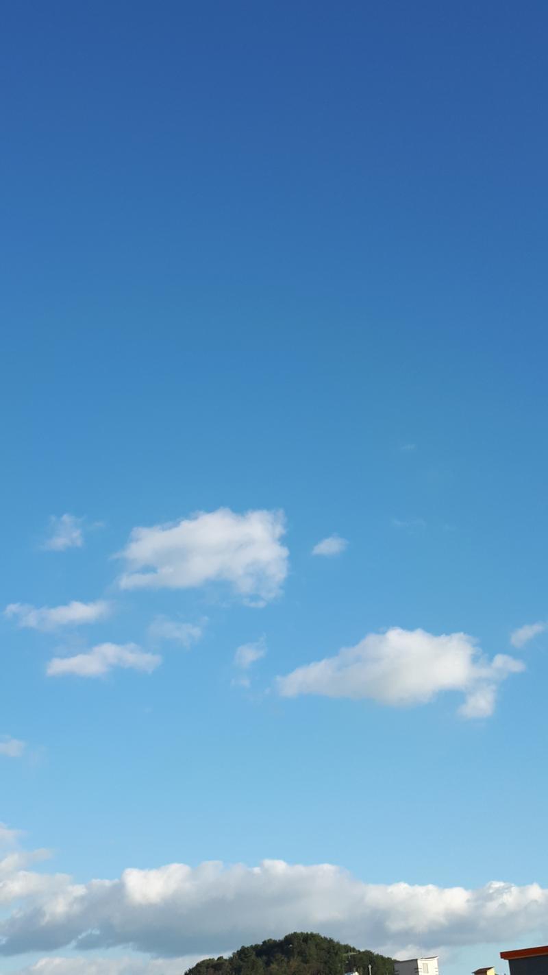 (대입 전형)수시 납치 당할 가능성 있나요 복채☁️