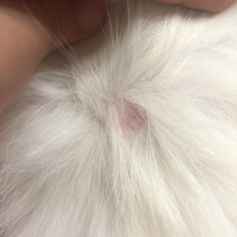 ㅠㅠㅠ 마음 아프다