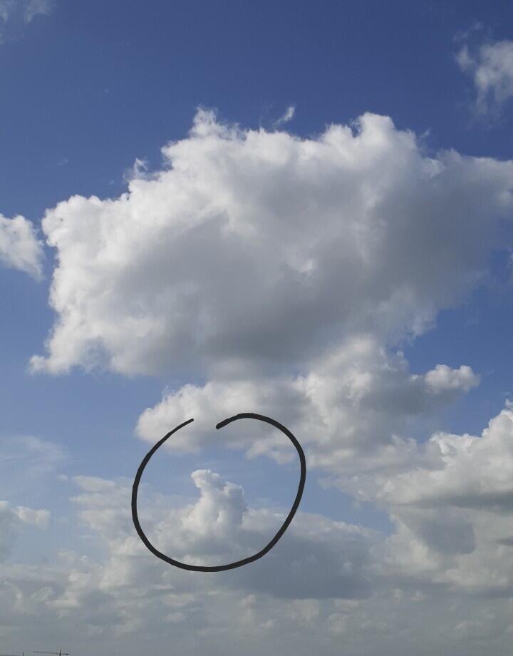근데 저거 약간 댕댕이가 구름 위에 떠 있는거 같지 않아?!?!