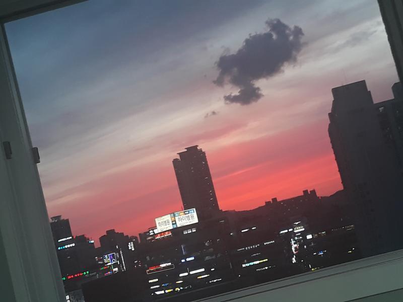 난 연애운이 궁금해.최근에 좋아하던 오빠를 포기했는데 아직 완전히 잊지는 못한상태. 근데 너무 외롭고 주변에 호감가는사람은 없어..연애는 언제쯤