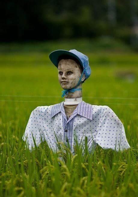 (퉁)
