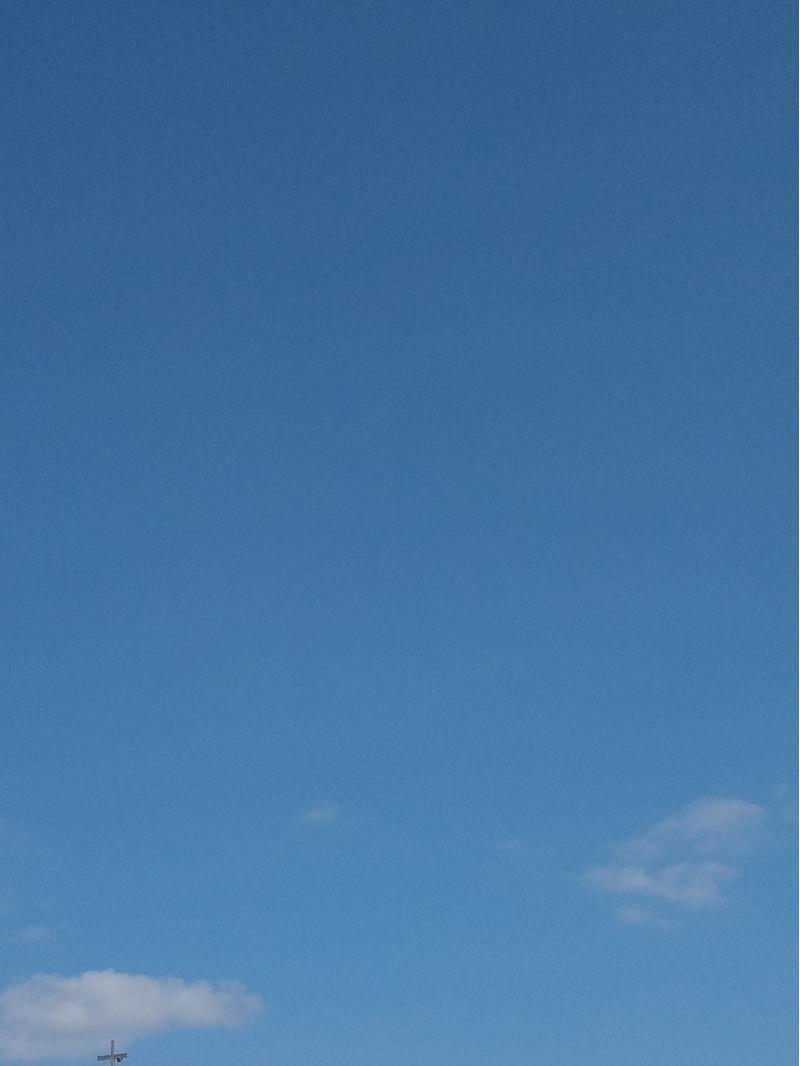 내가 오늘 소원을 이루기위한 방법을 실행했는데 이게 성공했는지 알고싶어!