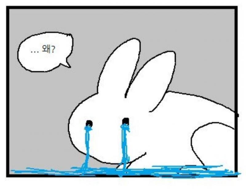 스레 처음만 해도 웃으면서 봤는데...