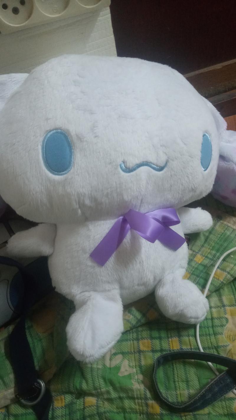 시나모롤 인형 샀다